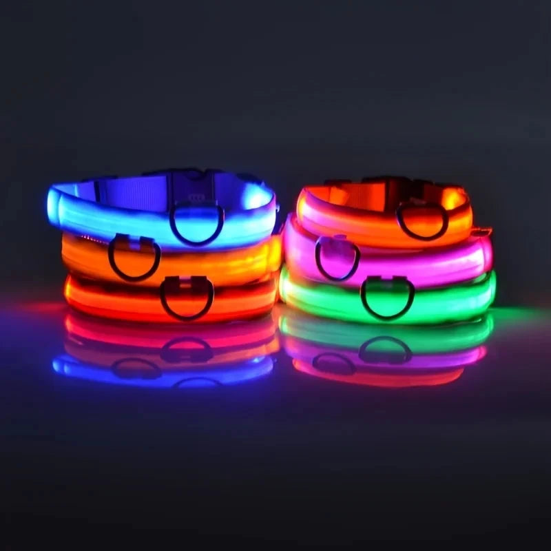 LED Luminous Dog Collar – USB Rechargeable Adjustable Glows