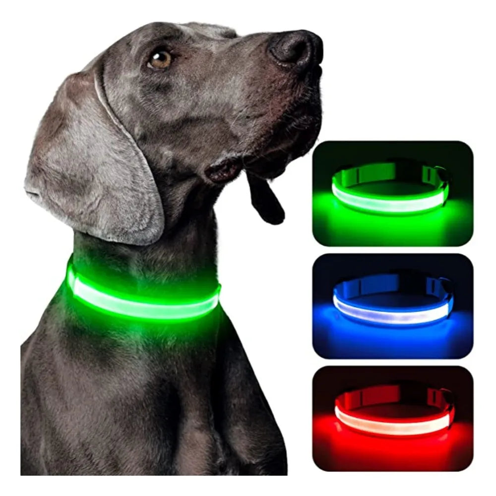 LED Luminous Dog Collar – USB Rechargeable Adjustable Glows