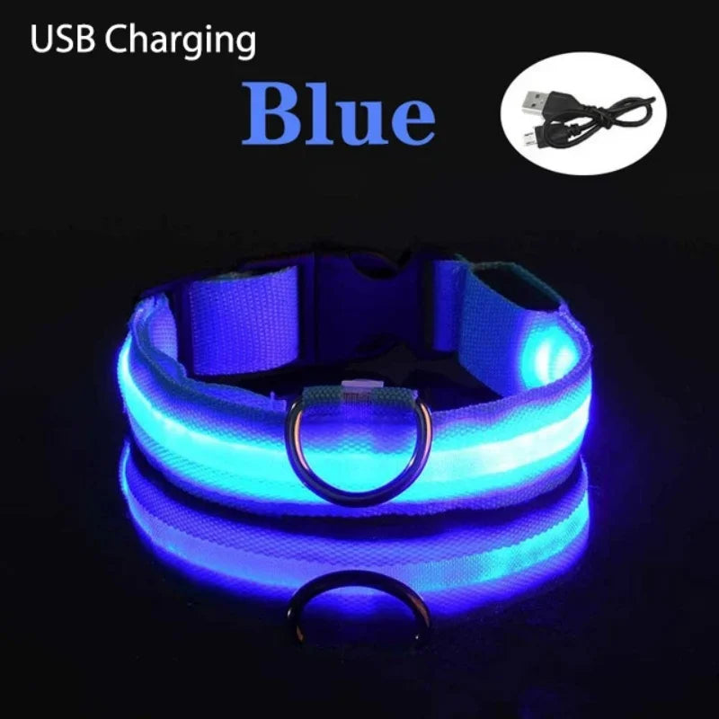 LED Luminous Dog Collar – USB Rechargeable Adjustable Glows