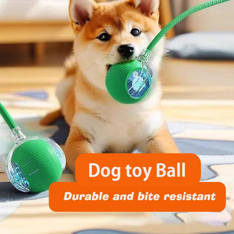 Smart Interactive Dog Ball Toy | Automatic Rolling Rechargeable Toy for Puppies & Dogs.