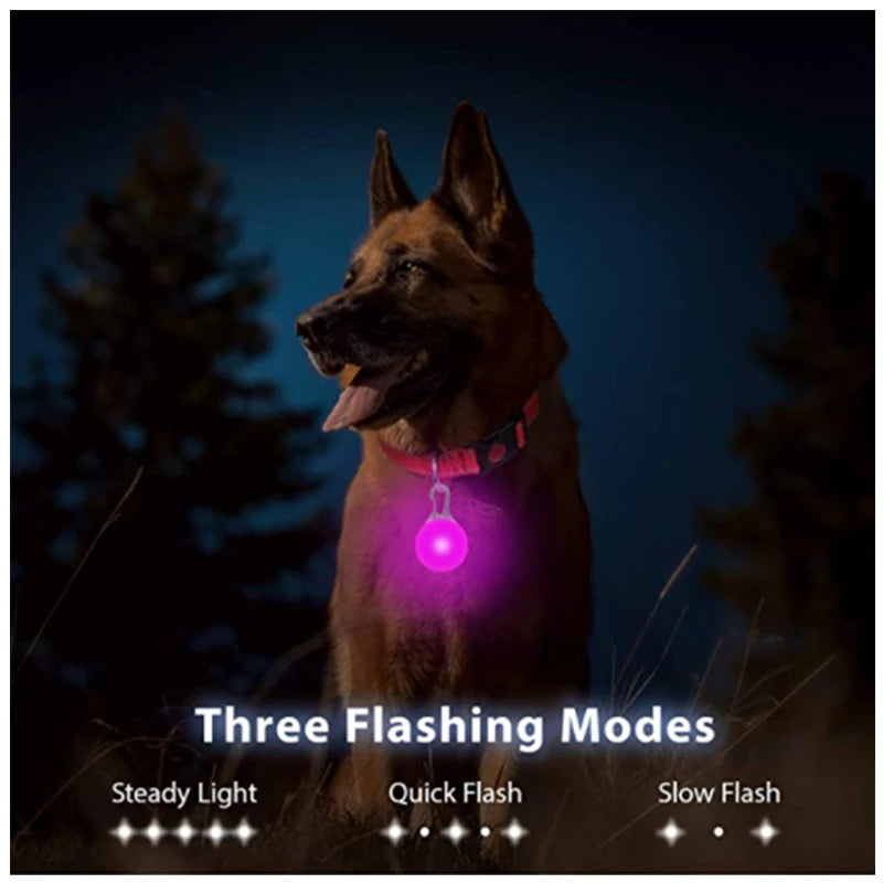 LED Luminous Dog Collar – USB Rechargeable Adjustable Glows