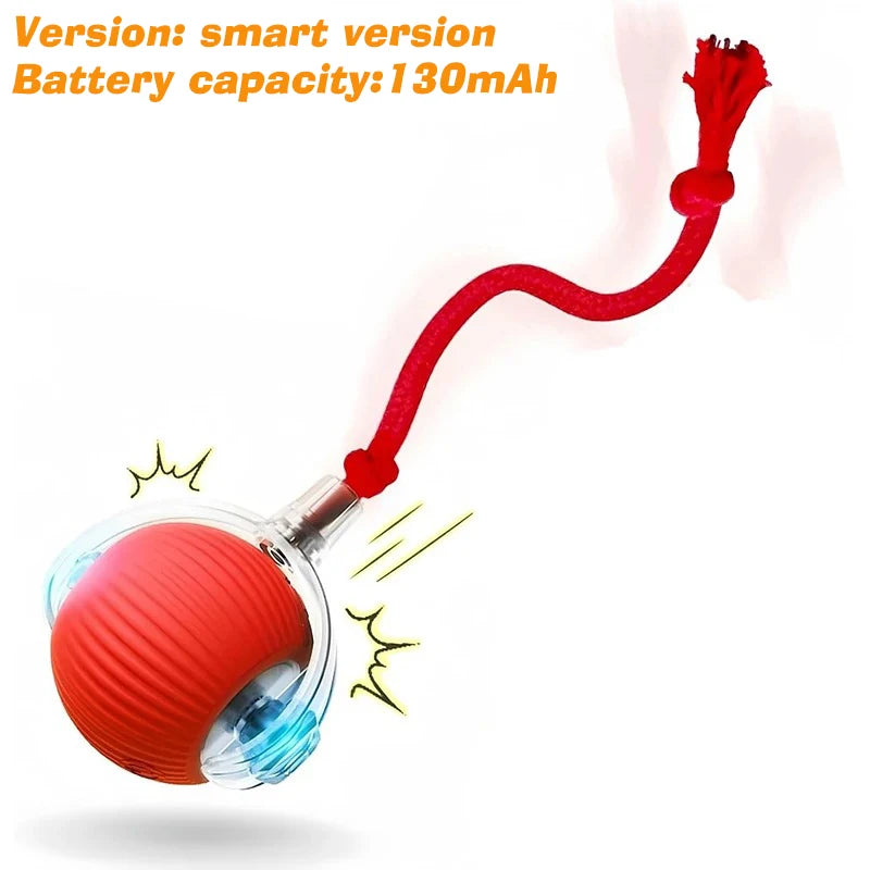 Smart Interactive Dog Ball Toy | Automatic Rolling Rechargeable Toy for Puppies & Dogs.
