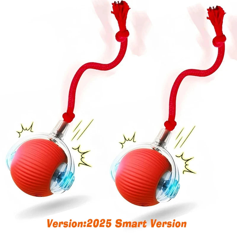 Smart Interactive Dog Ball Toy | Automatic Rolling Rechargeable Toy for Puppies & Dogs.